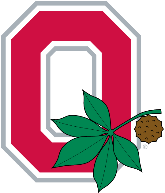 Ohio State Buckeyes 1968-Pres Alternate Logo v2 iron on transfers for T-shirts...